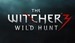 The Witcher 3: Wild Hunt review. Is this game as good as it’s described?